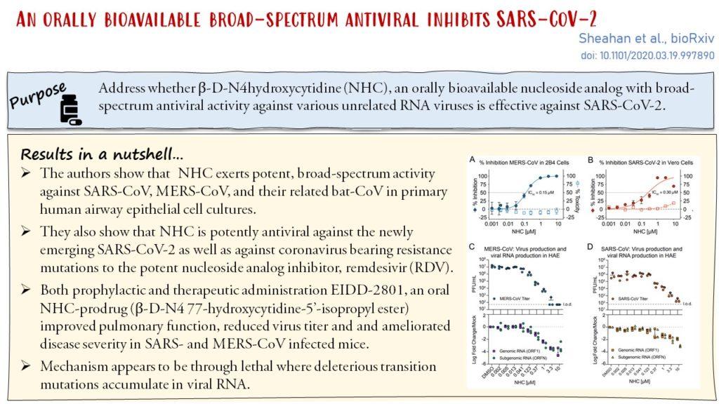 Broad Spectrum Antiviral Inhibits SARS CoV 2 Immunopaedia