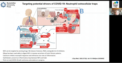 Sais Immunopaedia Webinar Immunothrombosis Covid Immunopaedia