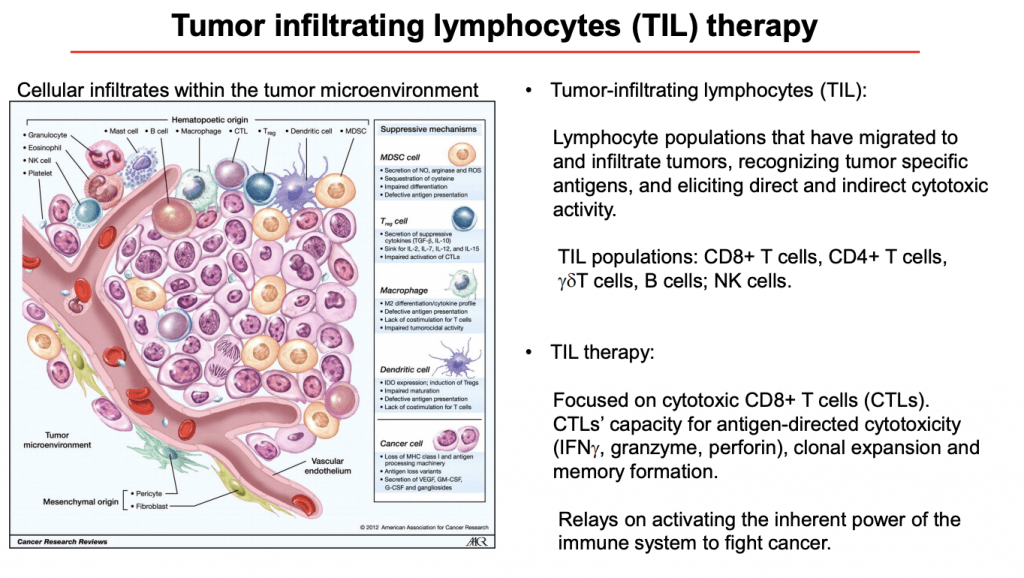 Immuno Colombia Tumour Infiltrating Lymphocyte Therapy Part