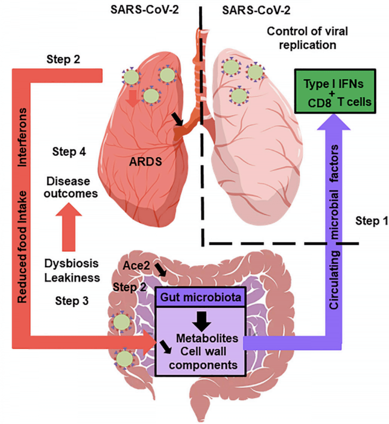 COVID19 & GIT symptoms Immunopaedia