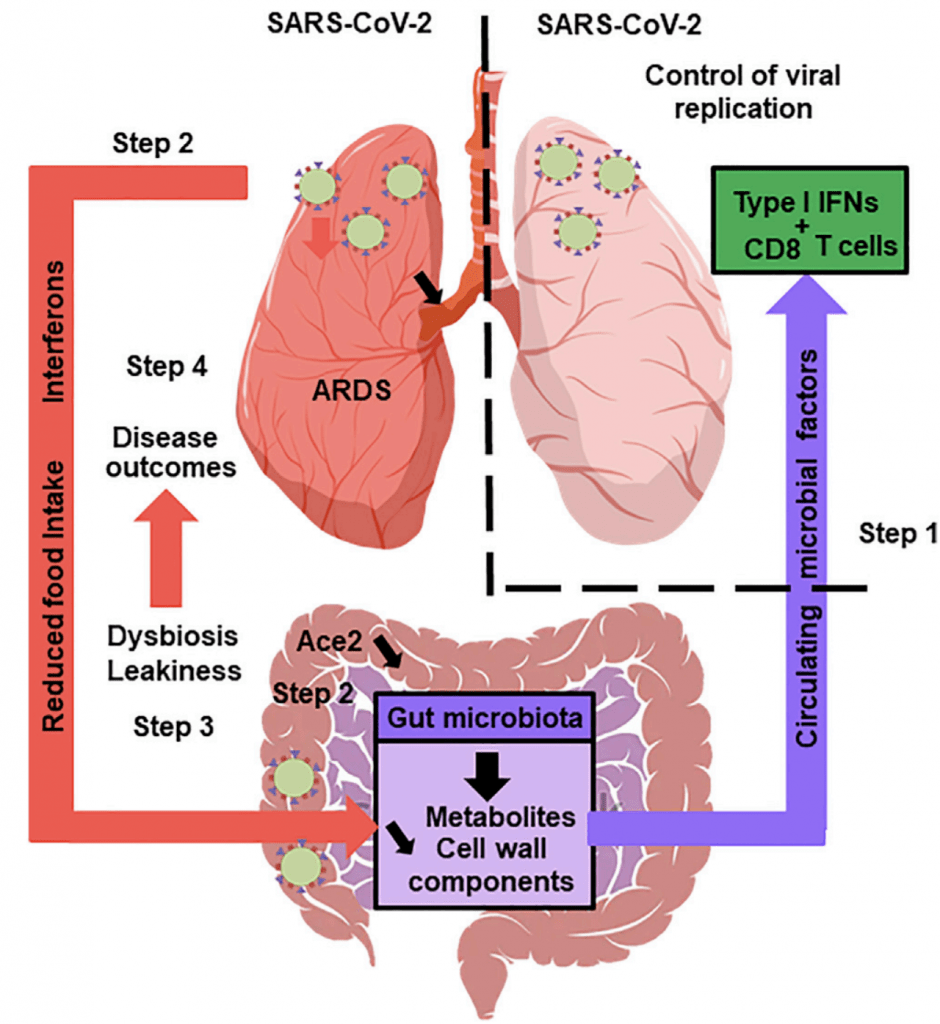 covid-19-git-symptoms-immunopaedia