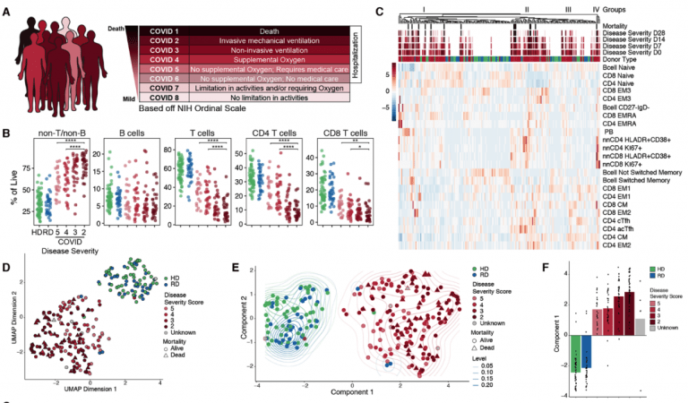 The “topology” Of The Immune Response To COVID-19 | Immunopaedia