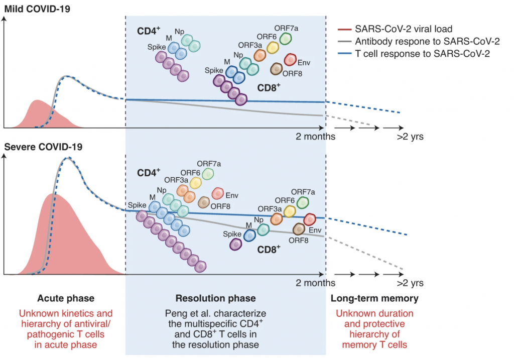 Inclusion Of Non-spike Proteins In SARS-CoV-2 Vaccines May Be Important ...