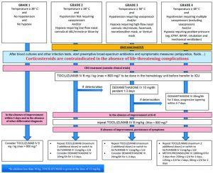 Immunotherapy Case Study | Immunopaedia