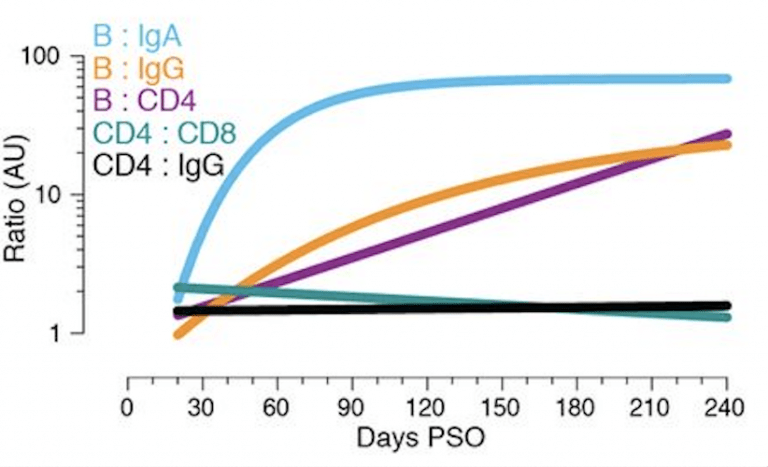 SARS-CoV-2-specific Memory B Cells Persist Up To 8 Months Post ...