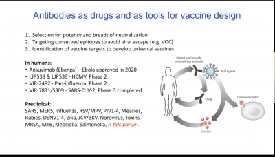 IUIS-Immunopaedia-Frontiers Webinar on Immunology taught by P ...