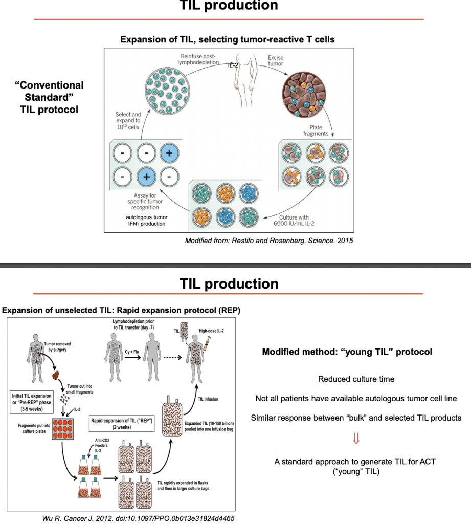 Immuno-Colombia: Tumour Infiltrating Lymphocyte Therapy (Part 2 ...